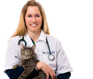 preventative health care for cats