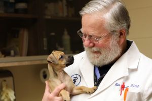 Billings Veterinarian Dr. Ken Brown