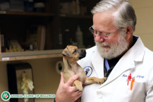 veterinarian Dr. Ken Brown