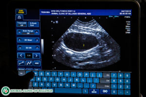 HD ultrasound images