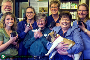 animal clinic of billings veterinarians