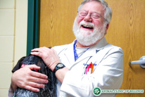 veterinarian holding dog