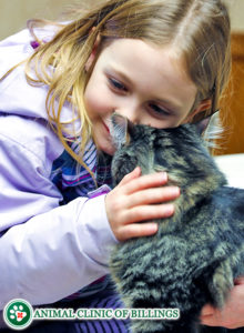 children loving animals