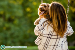 dog and girl on swing set