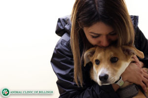 pretty girl with her dog at the vet