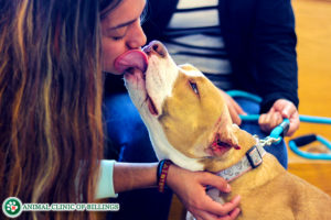 girl kissing dog