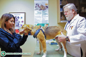 girl with veterinarian and dog