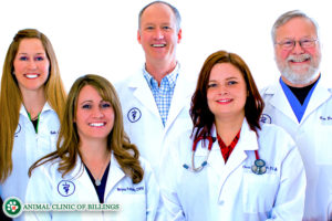 billings veterinarians