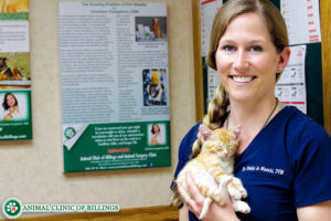 veterinarian with cat