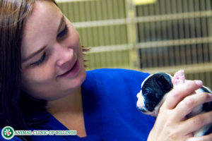 veterinarian holding puppy smiling