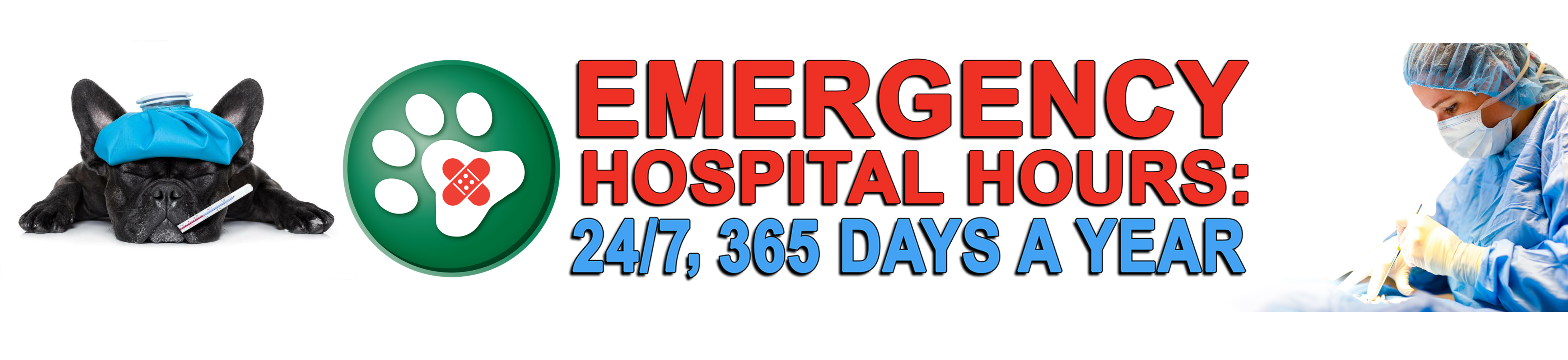 24-Hour Emergency Veterinary Care 