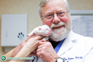 veterinarian with puppy