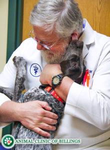 veterinarian hugging dog licking him