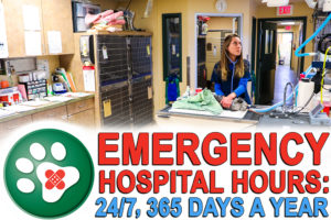 emergency vet open 24 hours near me