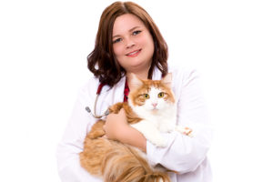 animal clinic of billings veterinarian Dr. Youngstrom